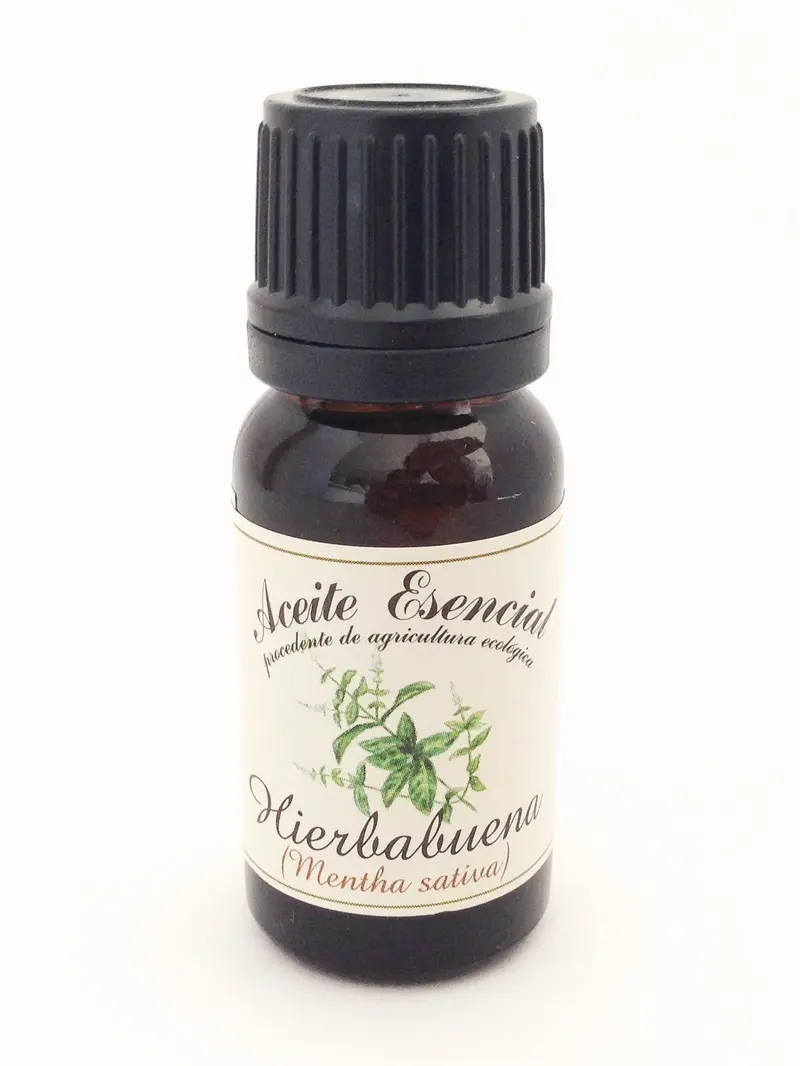 Aceite Esencial de Hierbabuena Labiatae 12ml - Mentha Sativa Puro