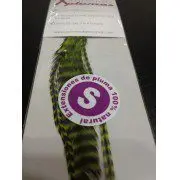 Extensión pluma. 3 Uds. Talla S. Verde lima