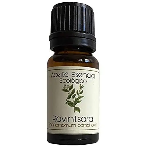 Labiatae Aceite Esencial Ravintsara (Cinnamomum Camphora) 12 ml