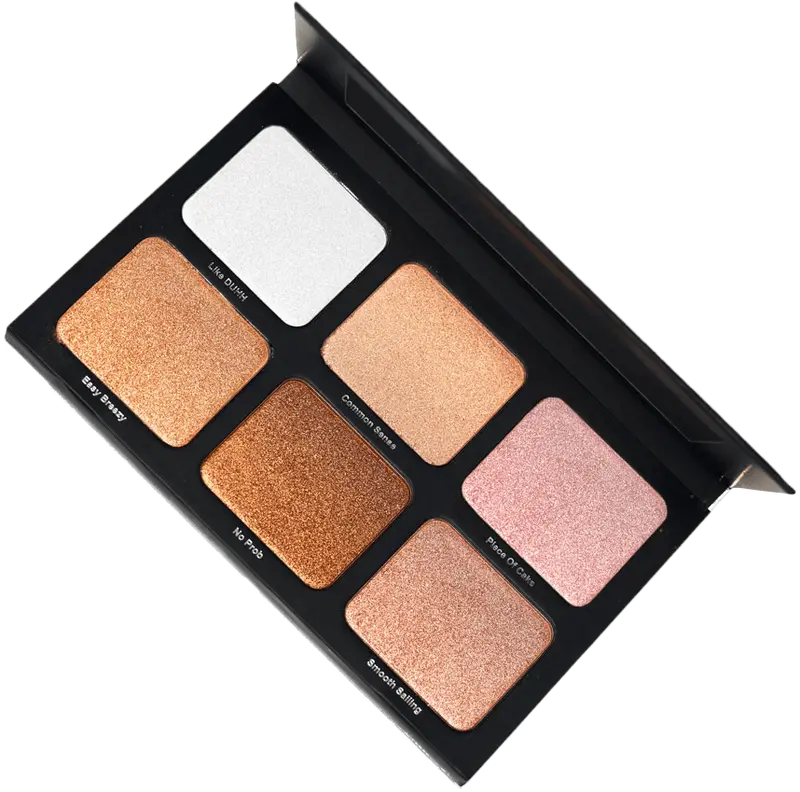 PALETA ILUMINADORES LIGHT WORK - DANESSA MYRICKS BEAUTY