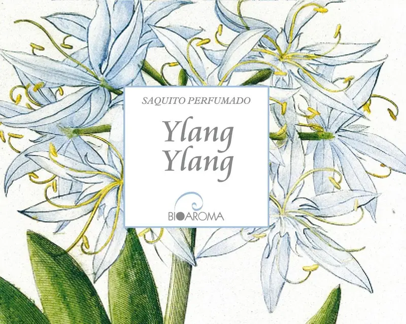Saquito Perfumado Ylang Ylang Bioaroma - Ambientador Natural 12,5g